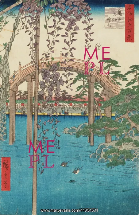 : Drum bridge at Kameido Tenjin Shrine : Drum bridge at Kameido Tenjin Shrine