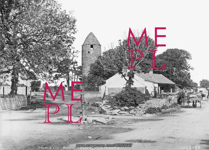 : Drumiskin Round Tower, Co. Meath : Drumiskin Round Tower, Co. Meath