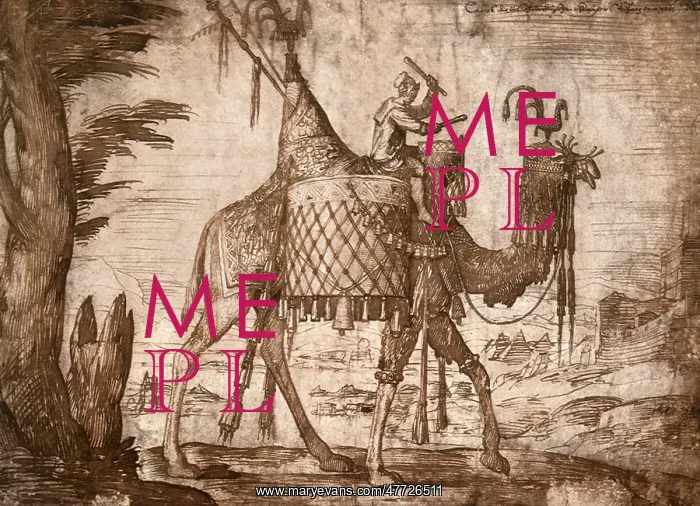  : Drummer Rides Camel