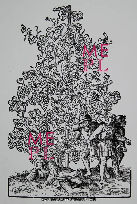 : Drunk farmer under a huge grapevine : Drunk farmer under a huge grapevine