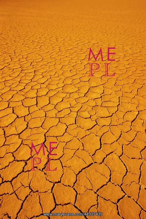  : Dry Cracked