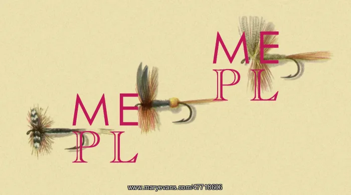  : Three Dry Flies