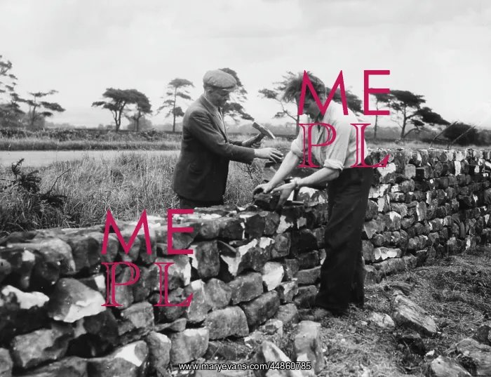 : DRY STONE WALLING : DRY STONE WALLING