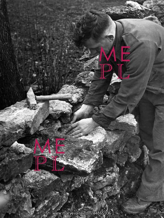 : DRY STONE WALLING : DRY STONE WALLING