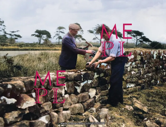 : DRY STONE WALLING : DRY STONE WALLING
