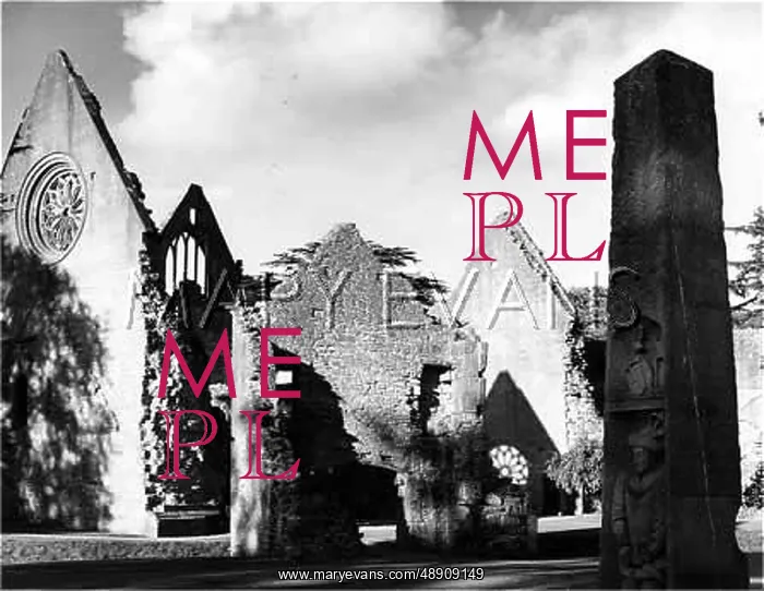  : DRYBURGH ABBEY RUINS