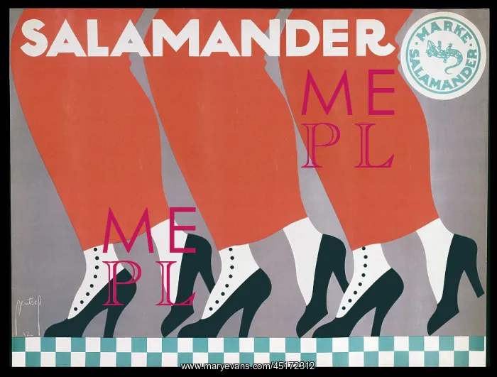 : DRYDEN / SALAMANDER / 107 : DRYDEN / SALAMANDER / 107