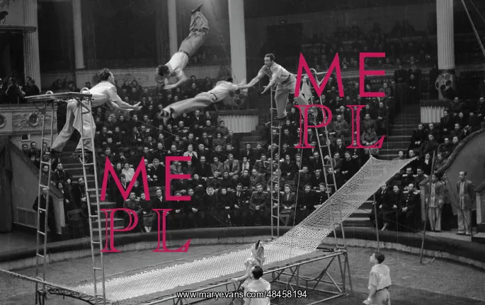 : Drygins acrobats : Drygins acrobats