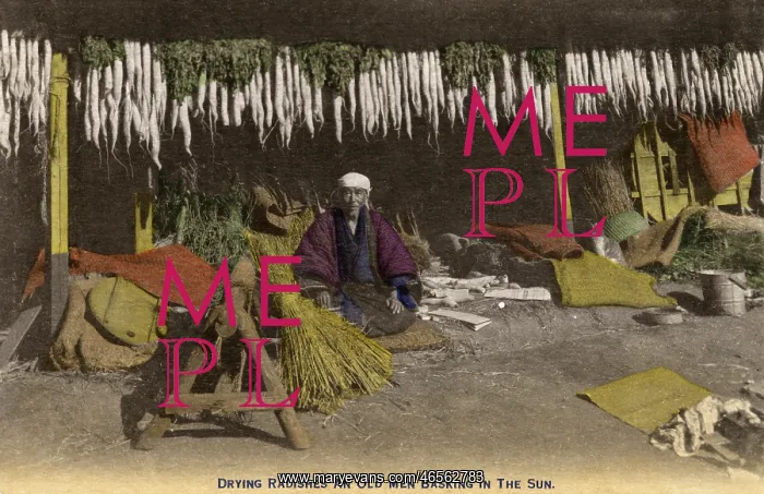  : Drying radishes in the sun - Japan