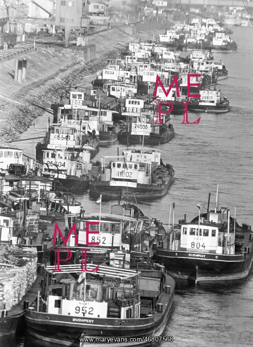: Dryness in Vienna 1961 : Dryness in Vienna 1961