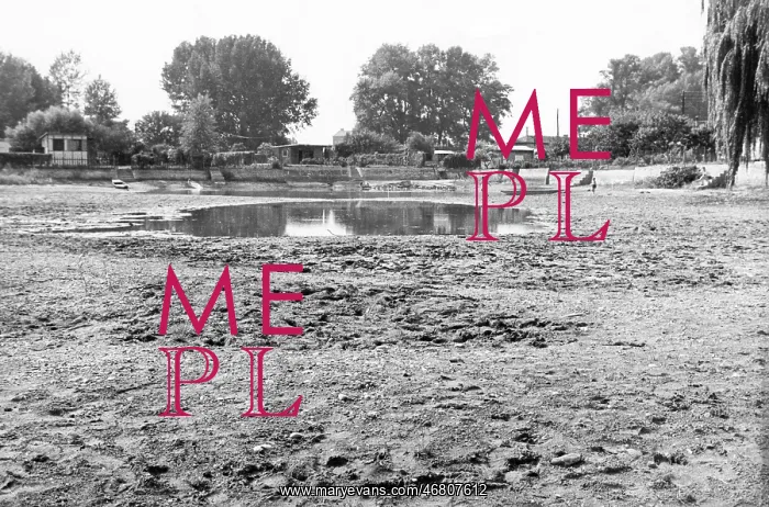 : Dryness in Vienna 1964 : Dryness in Vienna 1964