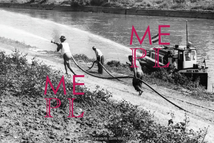 : Dryness in Vienna 1971 : Dryness in Vienna 1971