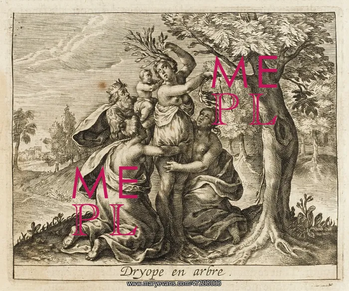 : Dryope into Tree : Dryope into Tree