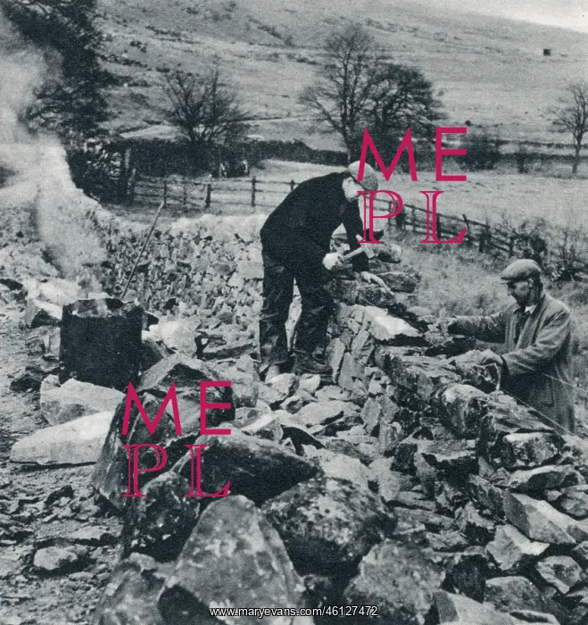 : Drystone Walls of the North : Drystone Walls of the North