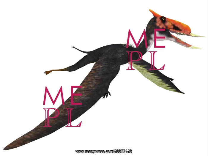 : Dsungaripterus flying reptile : Dsungaripterus flying reptile