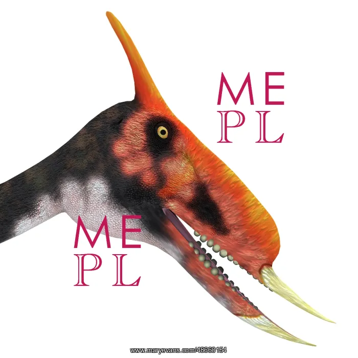 : Dsungaripterus portrait : Dsungaripterus portrait