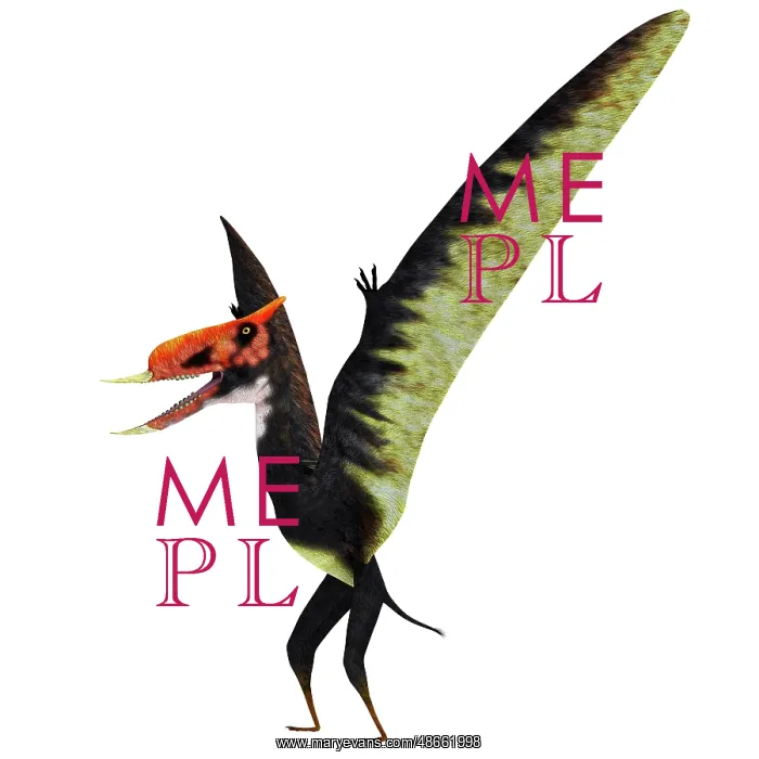: Dsungaripterus pterosaur, white background : Dsungaripterus pterosaur, white background