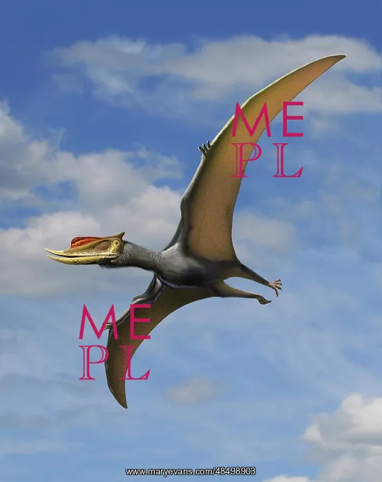 : Dsungaripterus weii, a pterosaur from the Early Cretaceous ? : Dsungaripterus weii, a pterosaur from the Early Cretaceous ?