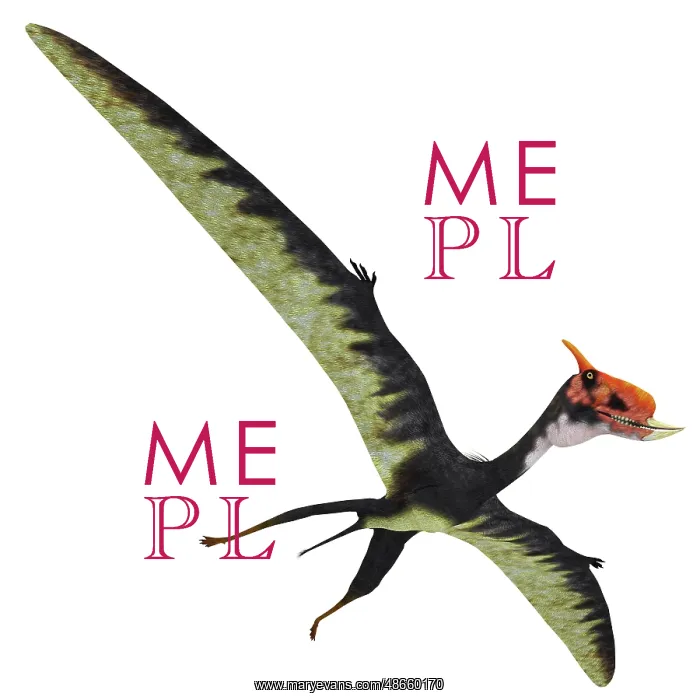 : Dsungaripterus with wings spread : Dsungaripterus with wings spread