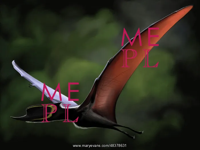 : Dsungaripterus with wings spread in flight : Dsungaripterus with wings spread in flight