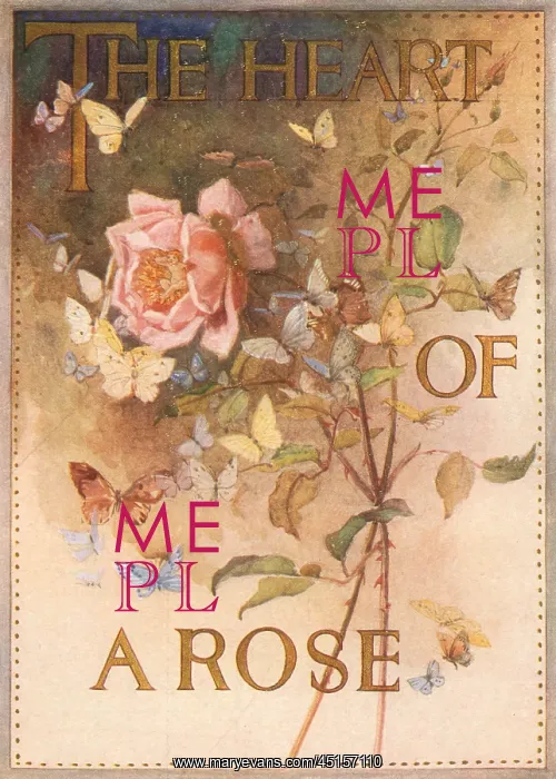 : Dubarry The Heart Of A Rose Advertisement : Dubarry The Heart Of A Rose Advertisement
