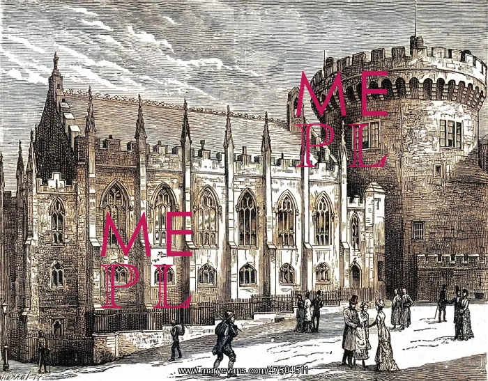  : DUBLIN CASTLE / 1878