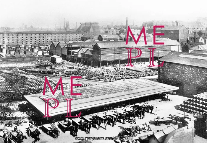  : Dublin Guinness Brewery early 1900s