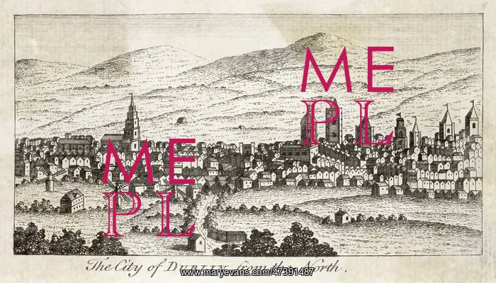 : DUBLIN FROM THE NORTH : DUBLIN FROM THE NORTH