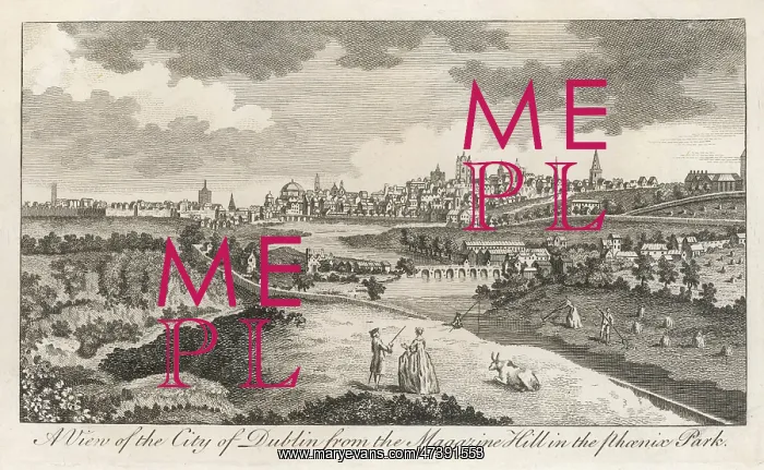 : DUBLIN FROM PHOENIX PARK : DUBLIN FROM PHOENIX PARK