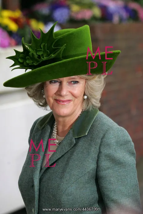 : Duchess Of Cornwall, Cheltenham Racecourse : Duchess Of Cornwall, Cheltenham Racecourse