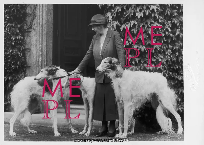  : DUCHESS NEWCASTLE DOG 2