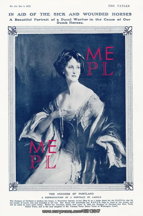 : The Duchess of Portland by Philip de Laszlo : The Duchess of Portland by Philip de Laszlo