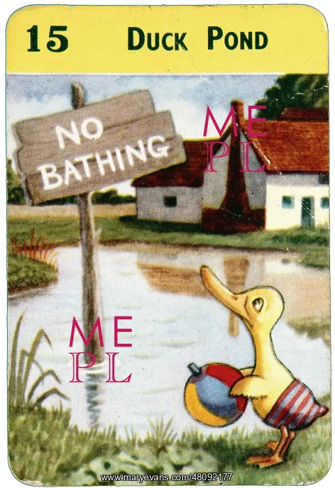  : Duck and duck pond