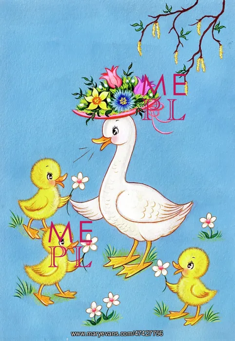  : Duck and three ducklings