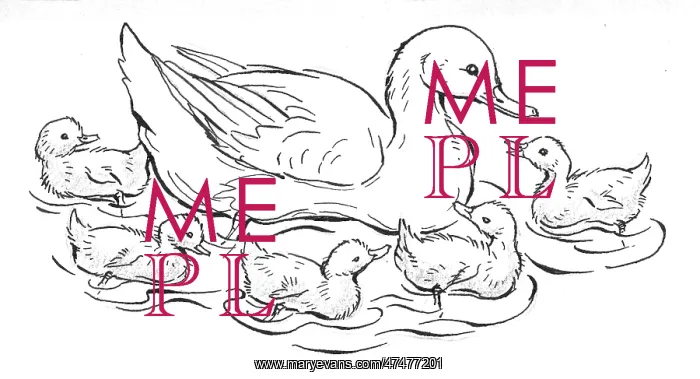 : Duck and five ducklings : Duck and five ducklings