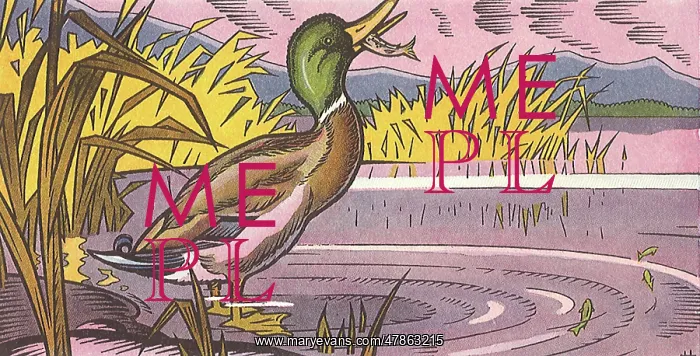  : Duck Eats Fish