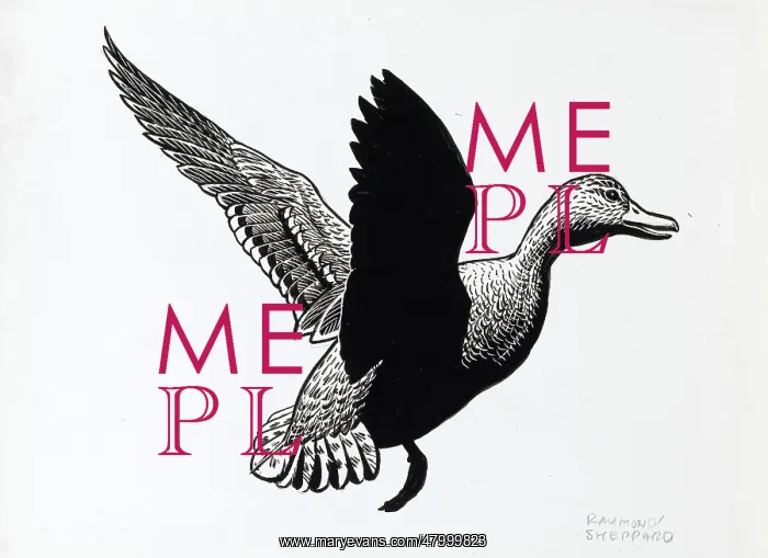  : Duck in flight