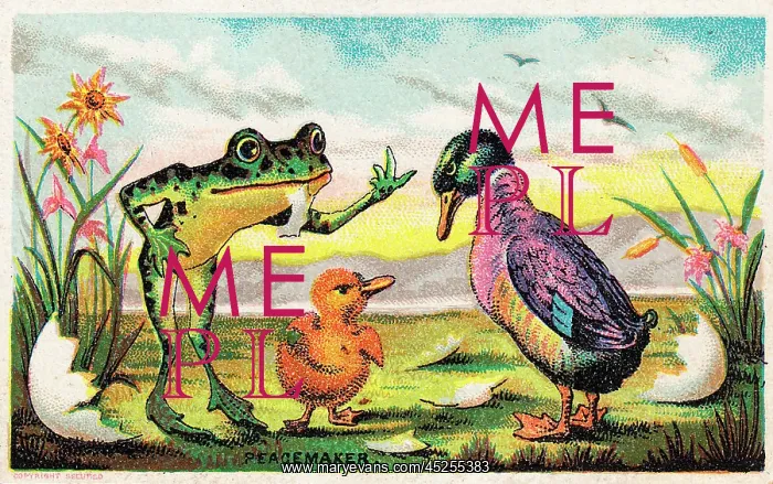 : Duck, frog and duckling on a comic card : Duck, frog and duckling on a comic card