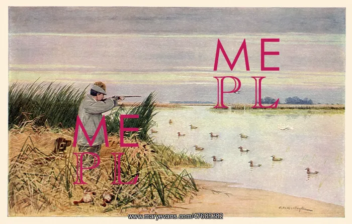  : Duck Hunter