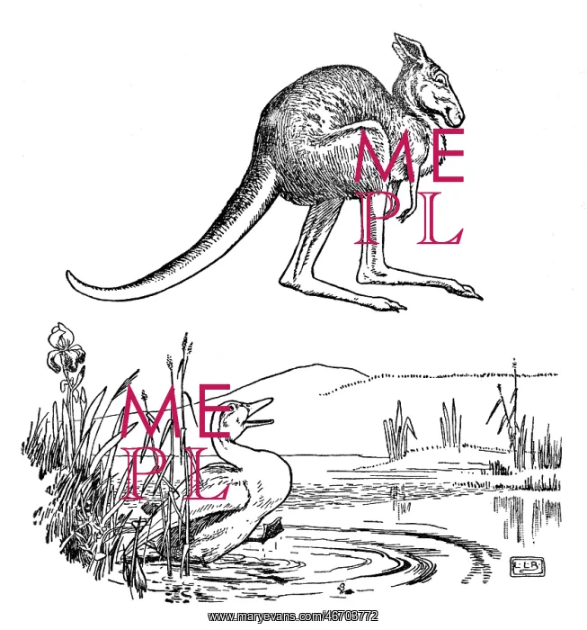 : The Duck and the Kangaroo - Edward Lear : The Duck and the Kangaroo - Edward Lear