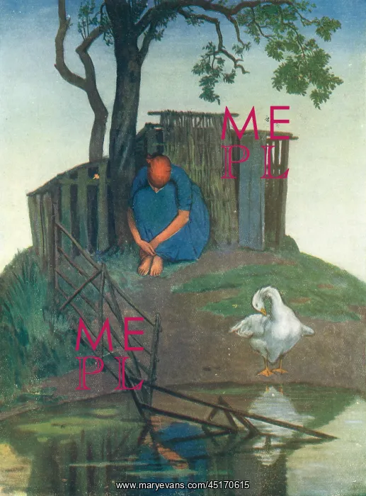 : The Duck Pond : The Duck Pond