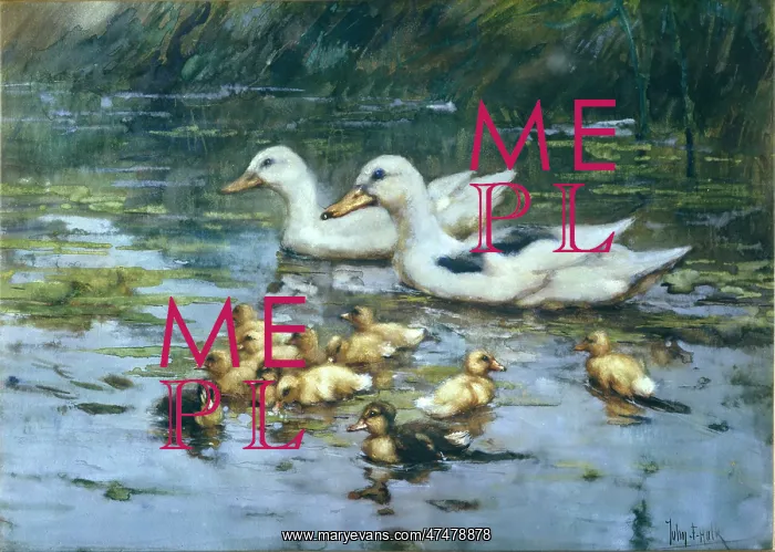 : The Duck Pond : The Duck Pond