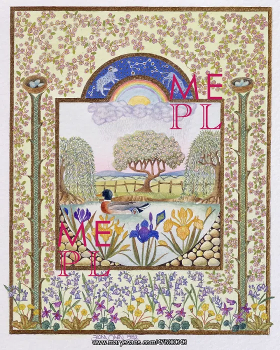 : Duck on a pond with irises and willow trees : Duck on a pond with irises and willow trees
