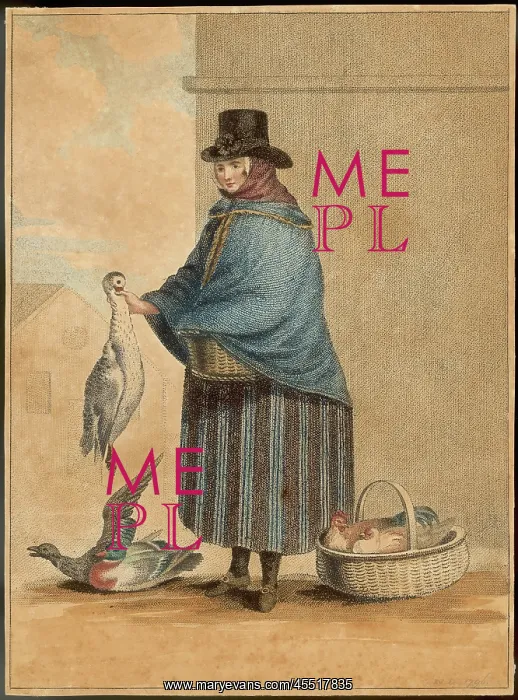 : DUCK SELLER : DUCK SELLER