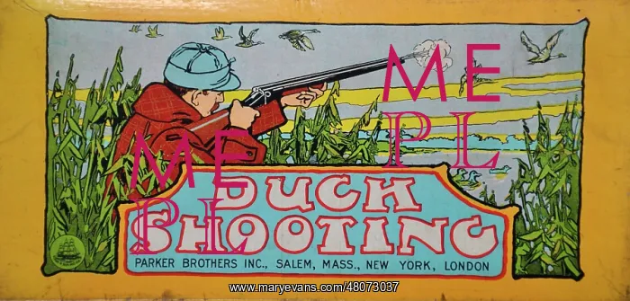 : Duck Shooting : Duck Shooting