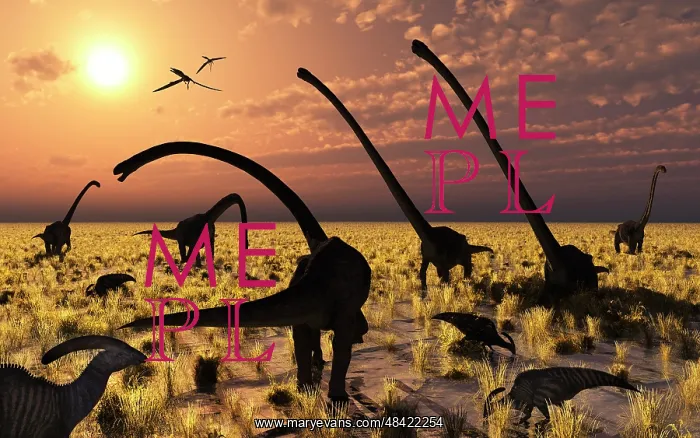 : Duckbill dinosaurs and large sauropods share a feeding ?