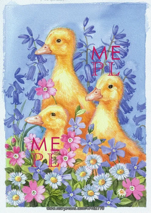 : Three Ducklings with bluebells, daisies etc : Three Ducklings with bluebells, daisies etc