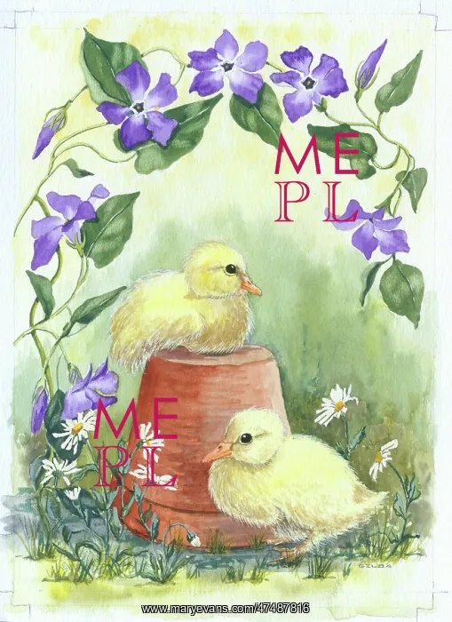 : Two Ducklings and Periwinkle : Two Ducklings and Periwinkle