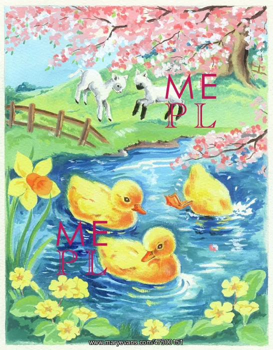 : Ducklings in pond and lambs gamboling : Ducklings in pond and lambs gamboling