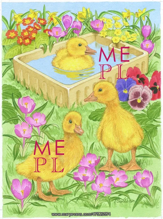 : Three Ducklings with stone sink among flowers : Three Ducklings with stone sink among flowers